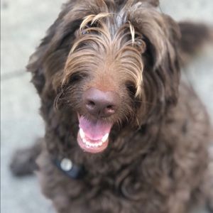 Meet your Posher, Cathie